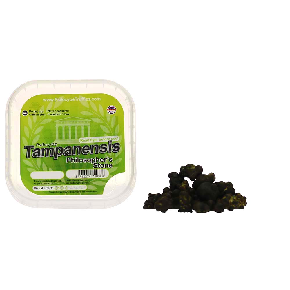 ✅ Smartific McSmart Tampanensis Magische Truffels (Psilocybe) Smartific.com ✅ Smartific McSmart Tampanensis Magische Truffels (Psilocybe) Smartific.com