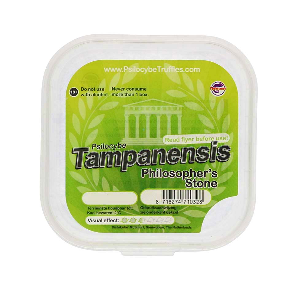 Tampanensis Magic Truffels (Psilocybe) smartific.nl Tampanensis Magic Truffels (Psilocybe) smartific.nl