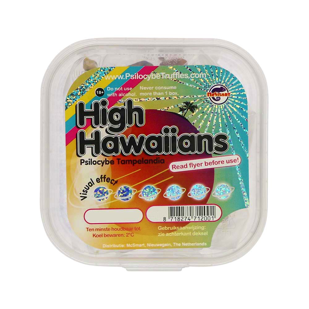 High Hawaiians Psilocybe Tampelandia Magic Truffels High Hawaiians Psilocybe Tampelandia Magic Truffels
