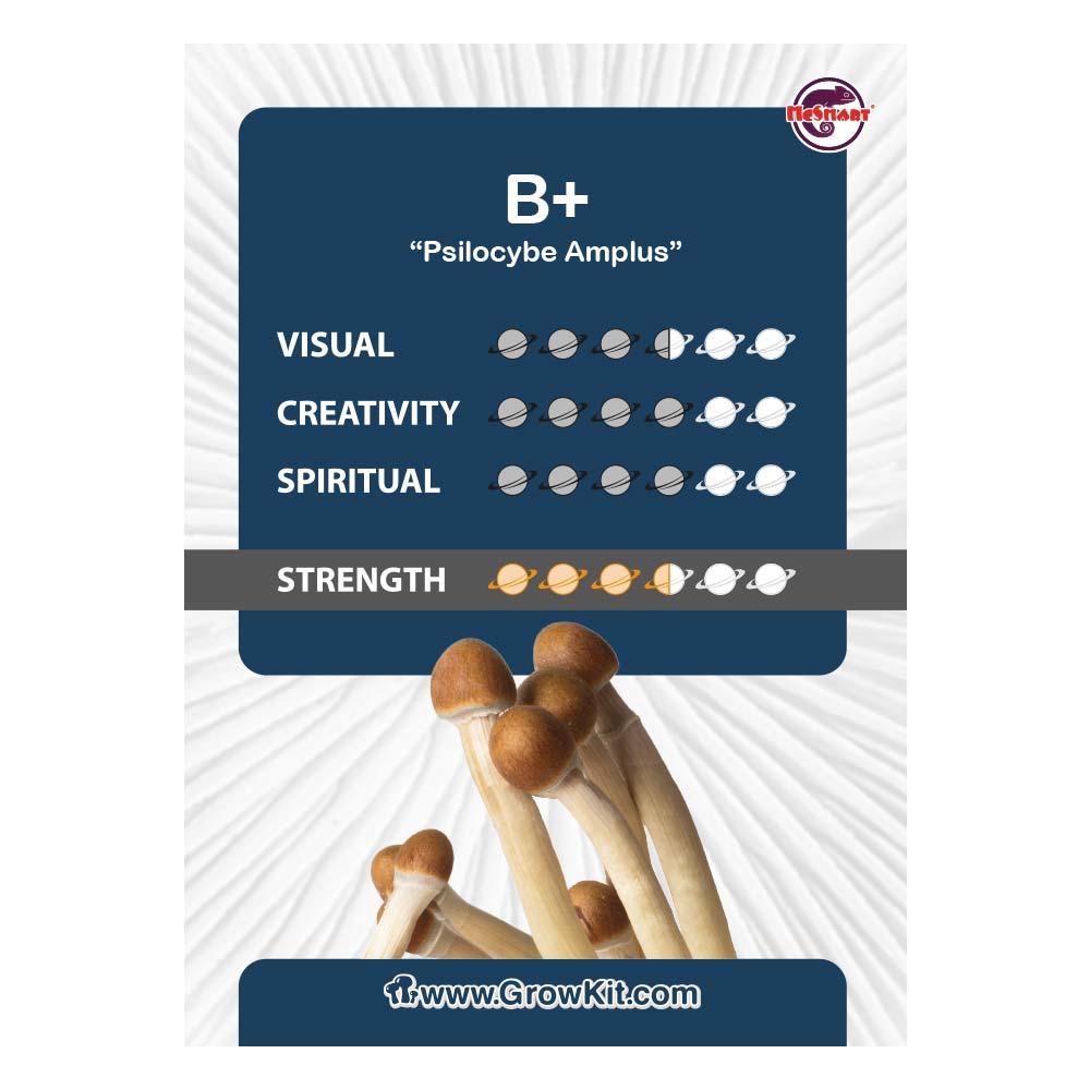 B+ Growkit Chart