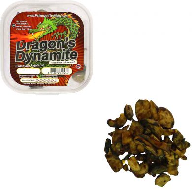 Dragons Dynamite Psilocybe Pajateros Magic Truffels Smartific.nl