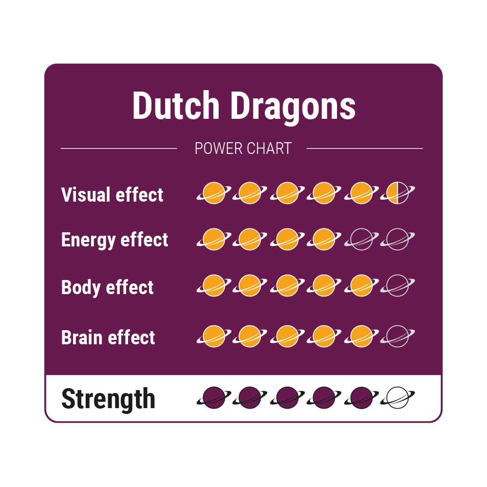 Dutch-Dragons