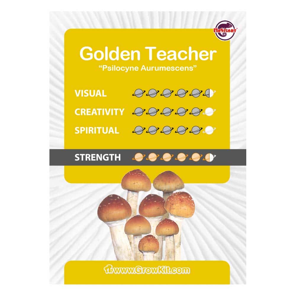 Golden Teacher Growkit Chart