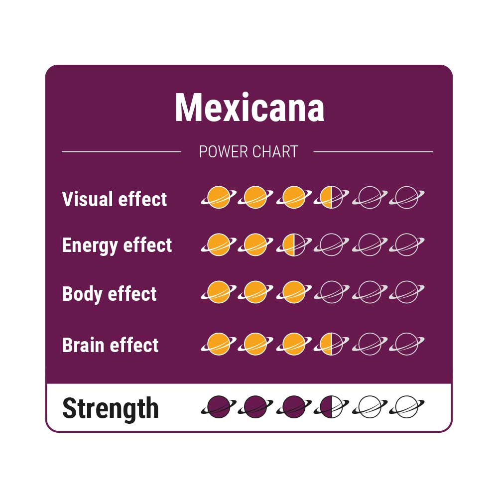 Mexicana