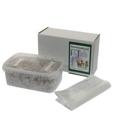 ✅ McSmart Cambodian Paddo Grow Kit (Psilocybe Cambodiescens) 1200cc analyse - Magische Paddo's - Smartific.com