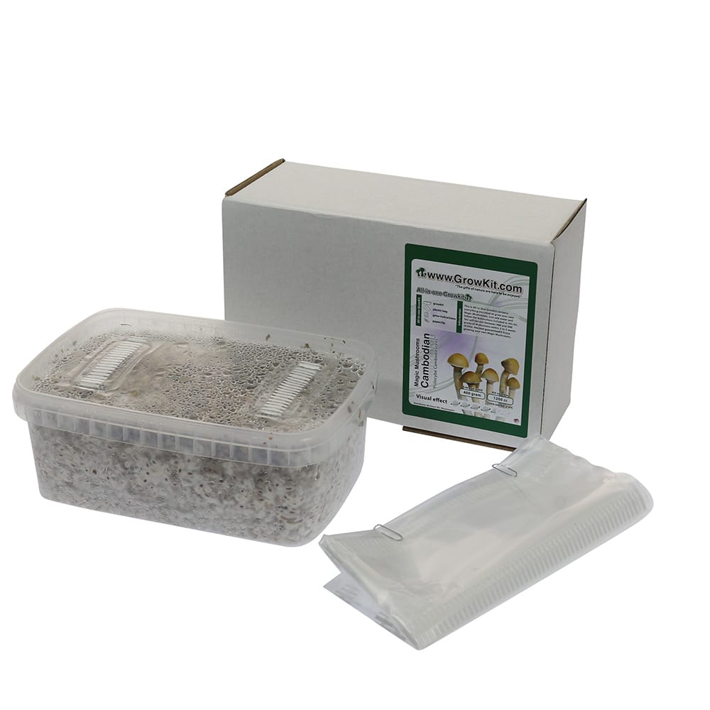 ✅ McSmart Cambodian Paddo Grow Kit (Psilocybe Cambodiescens) 1200cc analyse - Magische Paddo's - Smartific.com ✅ McSmart Cambodian Paddo Grow Kit (Psilocybe Cambodiescens) 1200cc analyse - Magische Paddo's - Smartific.com