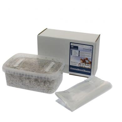✅ McSmart B+ Paddo Grow Kit (Psilocybe Amplus) 1200cc analyse - Magische Paddo's - Smartific.com