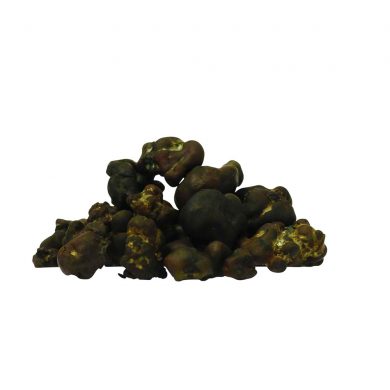 ✅ Smartific McSmart Tampanensis Magische Truffels (Psilocybe) Smartific.com