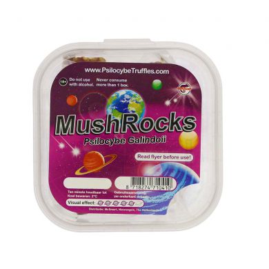 MushRocks Psilocybe Galindoii Magic Truffels Smartific.nl