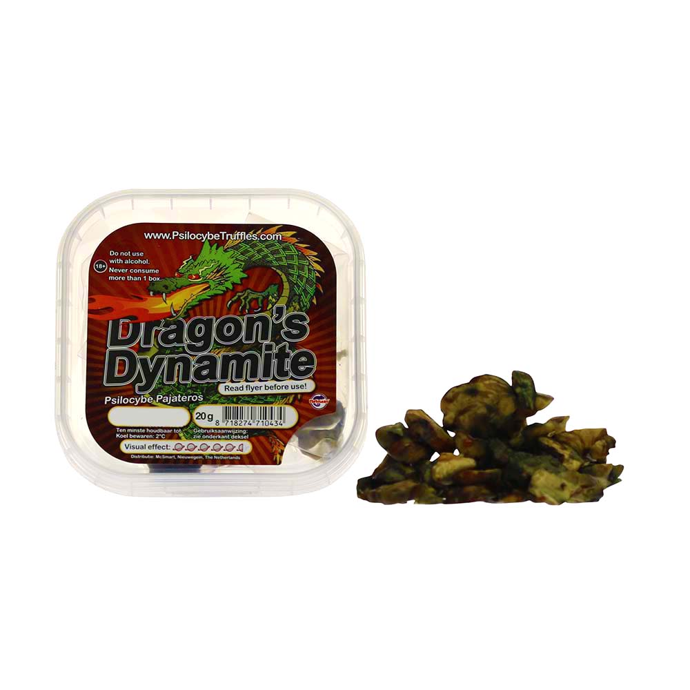 Dragons Dynamite Psilocybe Pajateros Magic Truffles Dragons Dynamite Psilocybe Pajateros Magic Truffles