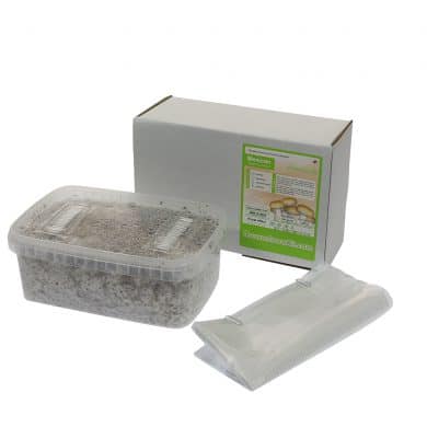 ✅ McSmart Mexican Paddo Grow Kit (Stropharia Cubensis) 1200cc analyse - Magische Paddo's - Smartific.com