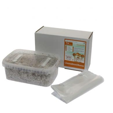 ✅ McSmart Thai Paddo Grow Kit (Psilocybe Cubensis) 1200cc analyse - Magische Paddo's - Smartific.com