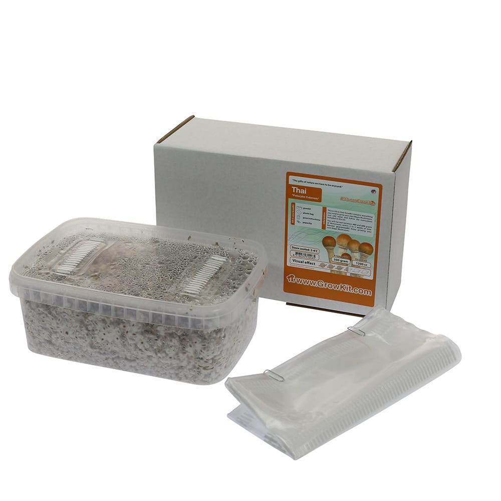 ✅ McSmart Thai Paddo Grow Kit (Psilocybe Cubensis) 1200cc analyse - Magische Paddo's - Smartific.com ✅ McSmart Thai Paddo Grow Kit (Psilocybe Cubensis) 1200cc analyse - Magische Paddo's - Smartific.com