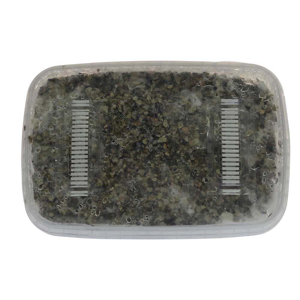 ✅ McSmart Colombian Paddo Grow Kit (Psilocybe Colobienscens) 1200cc analyse – Magische Paddo’s – Smartific.com ✅ McSmart Colombian Paddo Grow Kit (Psilocybe Colobienscens) 1200cc analyse - Magische Paddo's - Smartific.com