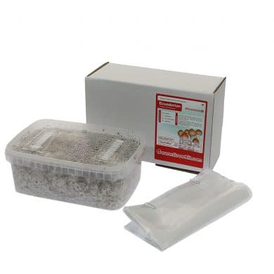 ✅ McSmart Ecuadorian Paddo Grow Kit (Psilocybe Equaescens) 1200cc analyse - Magische Paddo's - Smartific.com