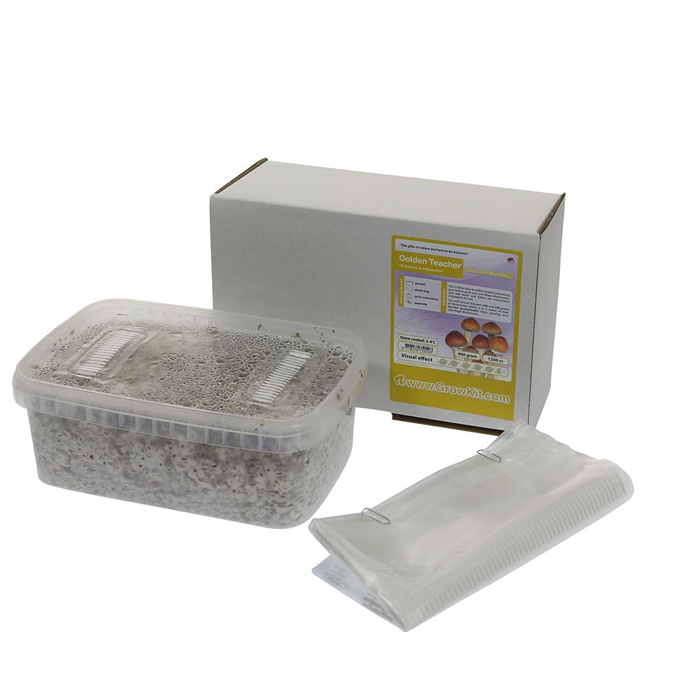 ✅ McSmart Golden Teacher Paddo Grow Kit (Psilocybe Aurumescens) 1200cc analyse - Magische Paddo's - Smartific.com ✅ McSmart Golden Teacher Paddo Grow Kit (Psilocybe Aurumescens) 1200cc analyse - Magische Paddo's - Smartific.com