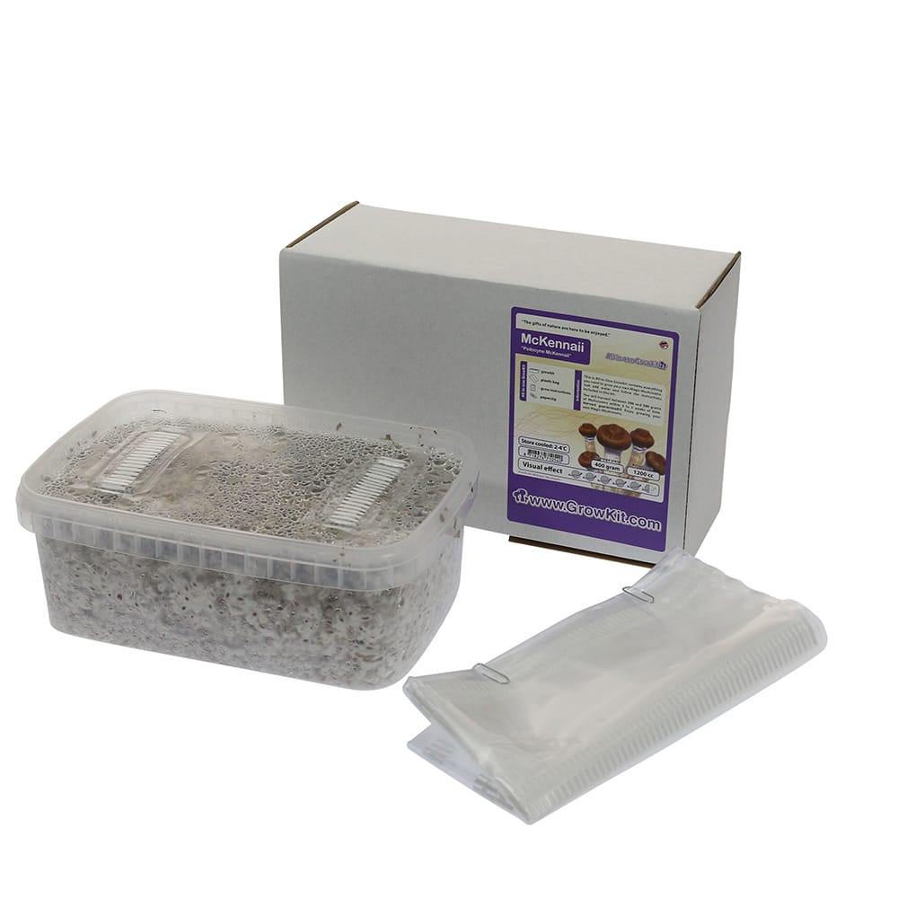 ✅ McSmart McKennaii Paddo Grow kit (Psilocybe) 1200 cc analyse - Magische Paddo's ✅ McSmart McKennaii Paddo Grow kit (Psilocybe) 1200 cc analyse - Magische Paddo's