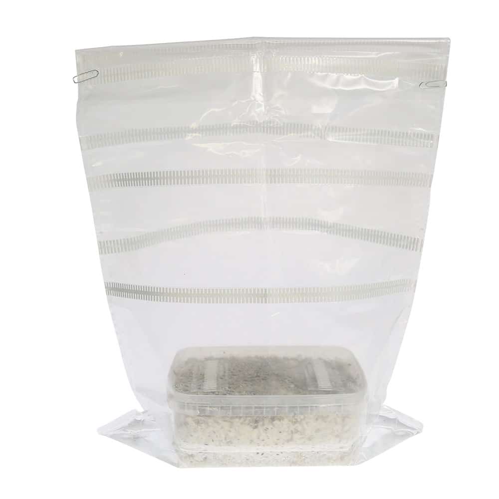 ✅ McSmart McKennaii Paddo Grow kit (Psilocybe) 1200 cc analyse – Magische Paddo’s ✅ McSmart McKennaii Paddo Grow kit (Psilocybe) 1200 cc analyse - Magische Paddo's