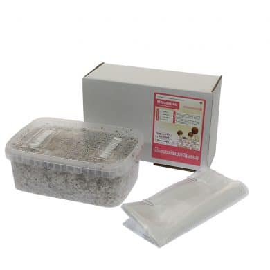 ✅ McSmart Mazatapec Paddo Grow Kit (Psilocybe Mayiescens) 1200cc analyse - Magische Paddo's - Smartific.com