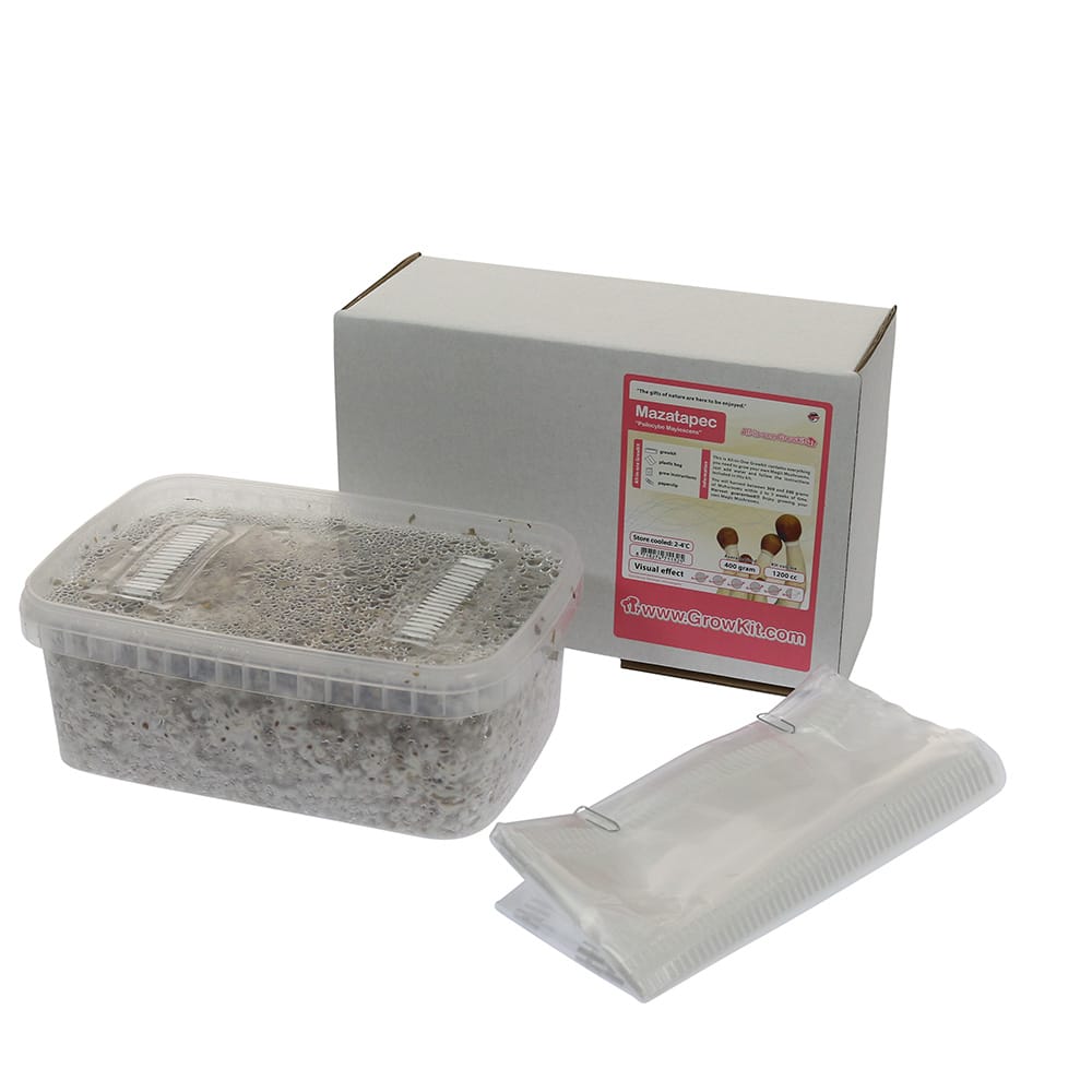 ✅ McSmart Mazatapec Paddo Grow Kit (Psilocybe Mayiescens) 1200cc analyse - Magische Paddo's - Smartific.com ✅ McSmart Mazatapec Paddo Grow Kit (Psilocybe Mayiescens) 1200cc analyse - Magische Paddo's - Smartific.com