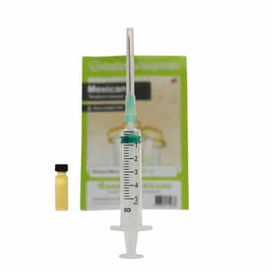 ✅ Culture Ampoule Mexican Sporenspuit (Stropharia Cubensis) analyse - Magische Paddo's - Smartific.com