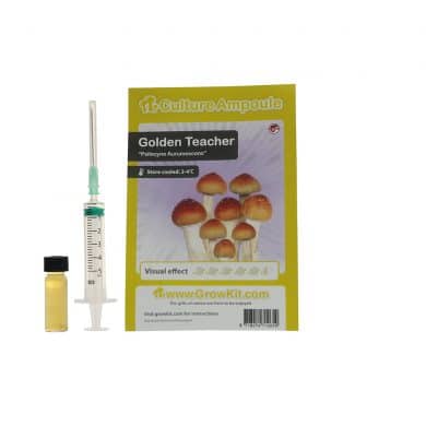 ✅ Culture Ampoule Golden Teacher Sporenspuit (Psilocybe Aurumescens) analyse - Magische Paddo's - Smartific.com