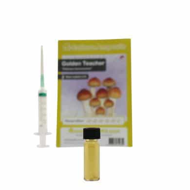 ✅ Culture Ampoule Golden Teacher Sporenspuit (Psilocybe Aurumescens) analyse - Magische Paddo's - Smartific.com