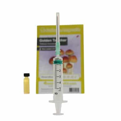 ✅ Culture Ampoule Golden Teacher Sporenspuit (Psilocybe Aurumescens) analyse - Magische Paddo's - Smartific.com