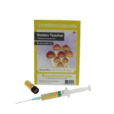 ✅ Culture Ampoule Golden Teacher Sporenspuit (Psilocybe Aurumescens) analyse - Magische Paddo's - Smartific.com