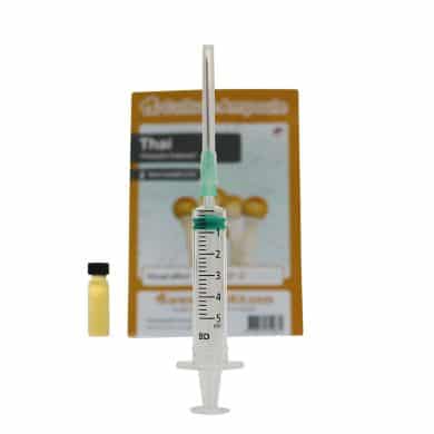 ✅ Culture Ampoule Thai Sporenspuit (Psilocybe Cubensis) analyse - Magische Paddo's - Smartific.com