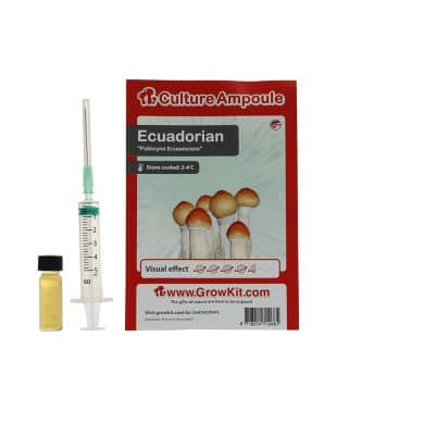 ✅ Culture Ampoule Ecuadorian Sporenspuit(Psilocybe Equaescens) analyse - Magische Paddo's - Smartific.com