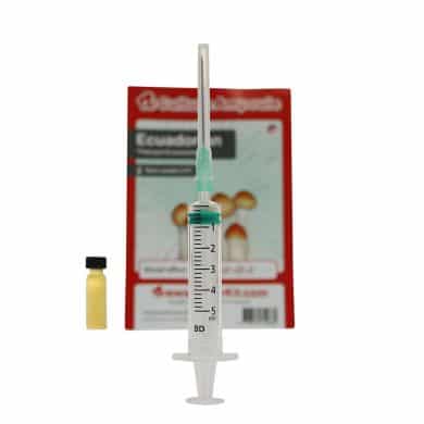 ✅ Culture Ampoule Ecuadorian Sporenspuit(Psilocybe Equaescens) analyse - Magische Paddo's - Smartific.com