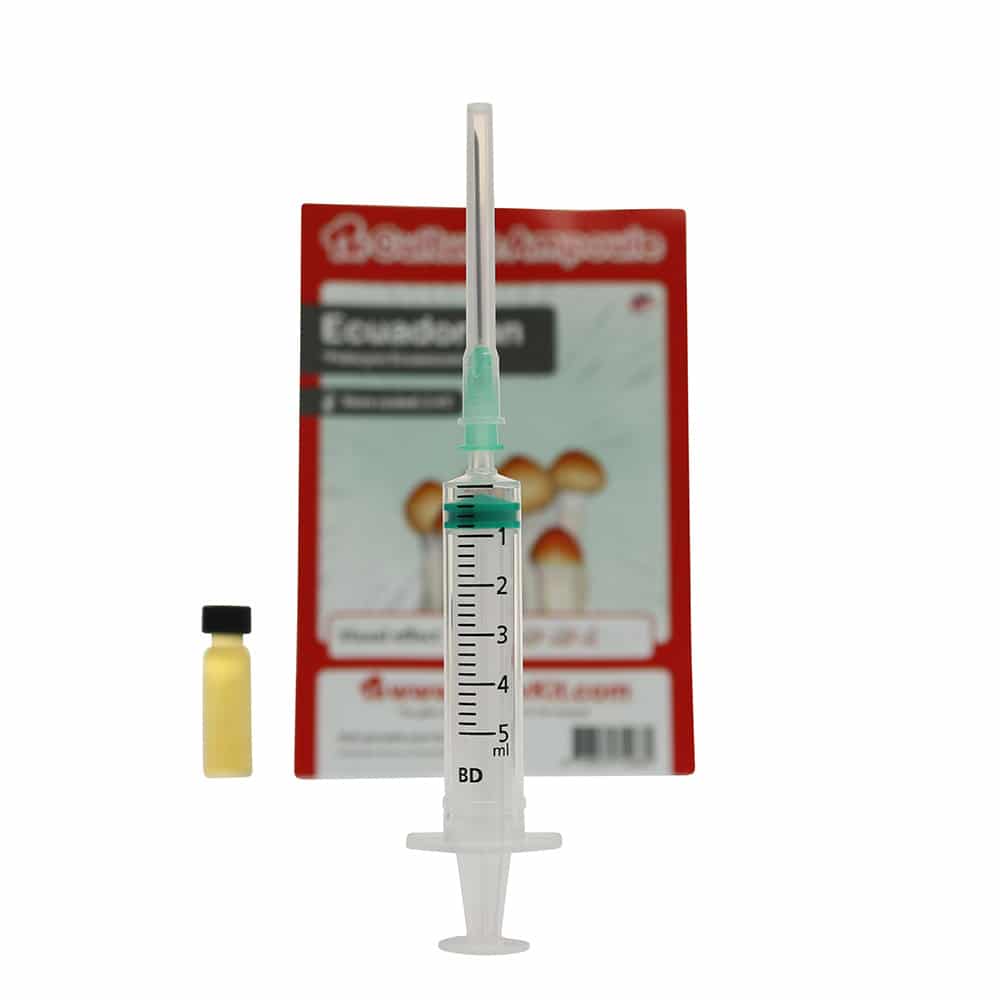 ✅ Culture Ampoule Ecuadorian Sporenspuit(Psilocybe Equaescens) analyse – Magische Paddo’s – Smartific.com ✅ Culture Ampoule Ecuadorian Sporenspuit(Psilocybe Equaescens) analyse - Magische Paddo's - Smartific.com