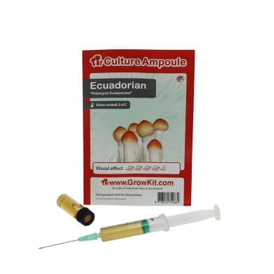 ✅ Culture Ampoule Ecuadorian Sporenspuit(Psilocybe Equaescens) analyse - Magische Paddo's - Smartific.com