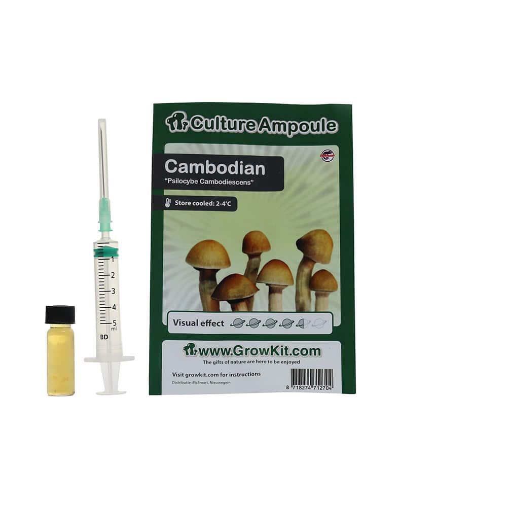 ✅ Culture Ampoule Cambodian Sporenspuit (Psilocybe Cambodiescens) analyse - Magische Paddo's - Smartific.com ✅ Culture Ampoule Cambodian Sporenspuit (Psilocybe Cambodiescens) analyse - Magische Paddo's - Smartific.com