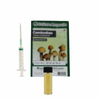 ✅ Culture Ampoule Cambodian Sporenspuit (Psilocybe Cambodiescens) analyse - Magische Paddo's - Smartific.com