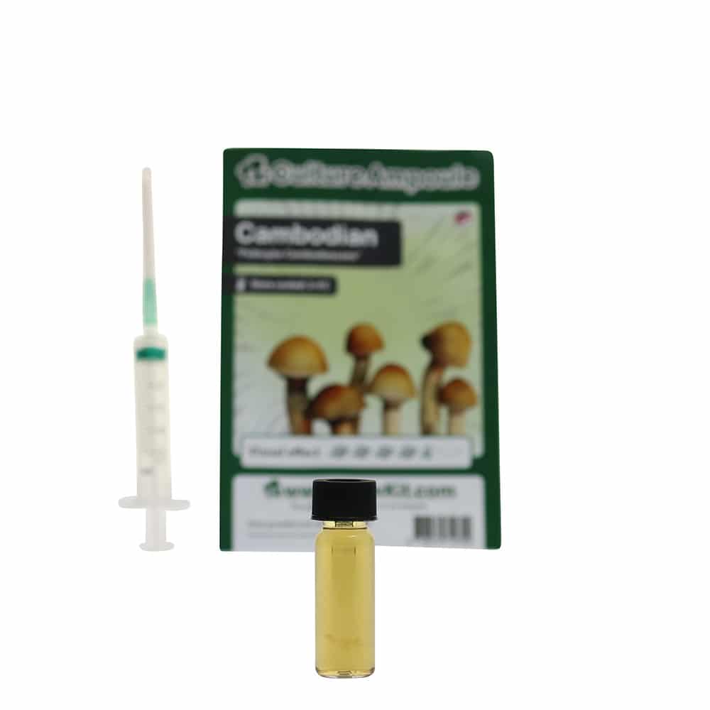 ✅ Culture Ampoule Cambodian Sporenspuit (Psilocybe Cambodiescens) analyse – Magische Paddo’s – Smartific.com ✅ Culture Ampoule Cambodian Sporenspuit (Psilocybe Cambodiescens) analyse - Magische Paddo's - Smartific.com