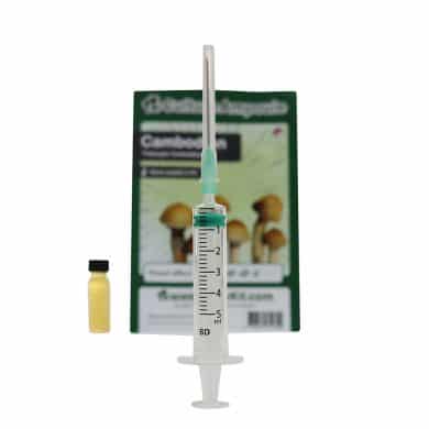 ✅ Culture Ampoule Cambodian Sporenspuit (Psilocybe Cambodiescens) analyse - Magische Paddo's - Smartific.com