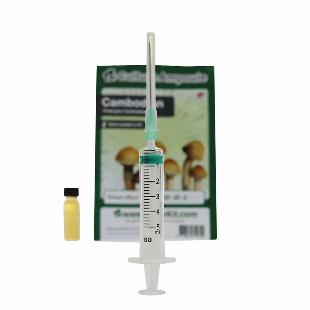 ✅ Culture Ampoule Cambodian Sporenspuit (Psilocybe Cambodiescens) analyse – Magische Paddo’s – Smartific.com ✅ Culture Ampoule Cambodian Sporenspuit (Psilocybe Cambodiescens) analyse - Magische Paddo's - Smartific.com