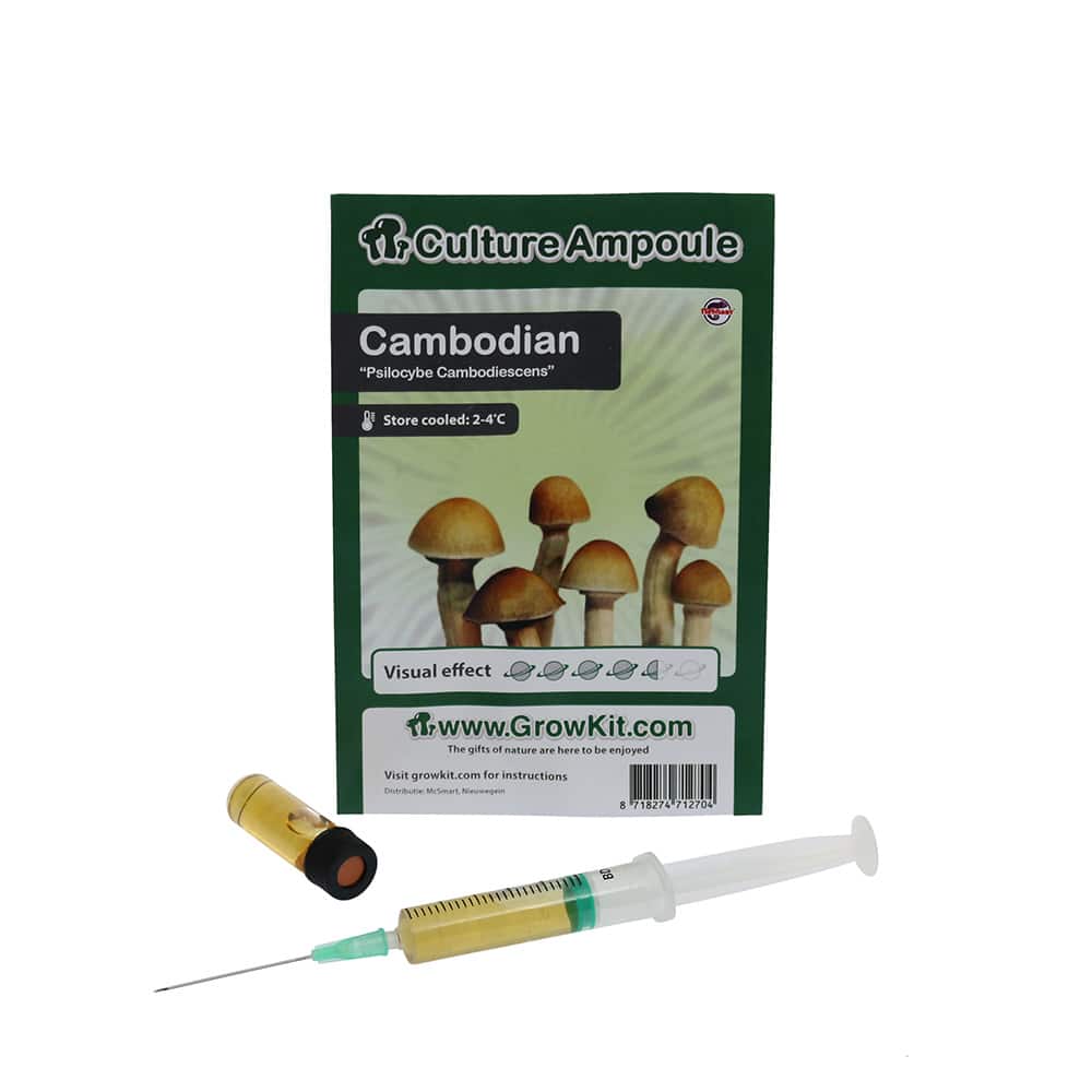 ✅ Culture Ampoule Cambodian Sporenspuit (Psilocybe Cambodiescens) analyse – Magische Paddo’s – Smartific.com ✅ Culture Ampoule Cambodian Sporenspuit (Psilocybe Cambodiescens) analyse - Magische Paddo's - Smartific.com