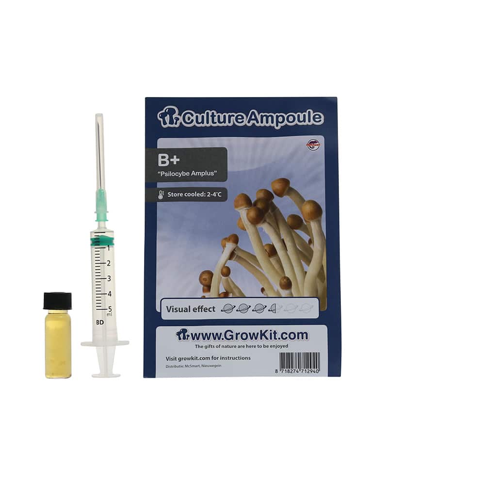 ✅ Culture Ampoule B+ Sporenspuit (Psilocybe Amplus) analyse - Magische Paddo's - Smartific.com ✅ Culture Ampoule B+ Sporenspuit (Psilocybe Amplus) analyse - Magische Paddo's - Smartific.com