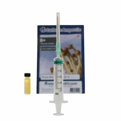 ✅ Culture Ampoule B+ Sporenspuit (Psilocybe Amplus) analyse - Magische Paddo's - Smartific.com