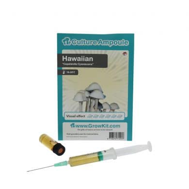 ✅ Culture Ampoule Hawaiian Sporenspuit (Copelandia Cyanescens) analyse - Magische Paddo's - Smartific.com