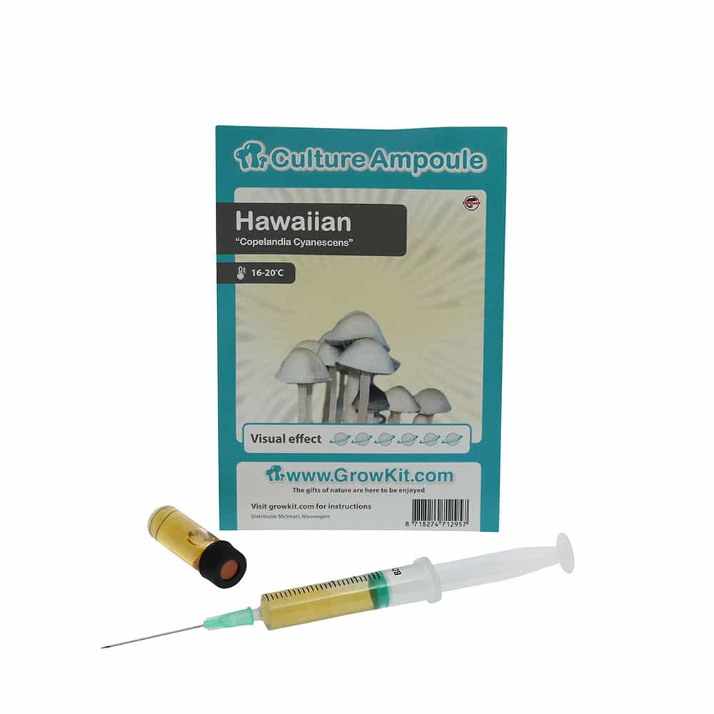 ✅ Culture Ampoule Hawaiian Sporenspuit (Copelandia Cyanescens) analyse – Magische Paddo’s – Smartific.com ✅ Culture Ampoule Hawaiian Sporenspuit (Copelandia Cyanescens) analyse - Magische Paddo's - Smartific.com
