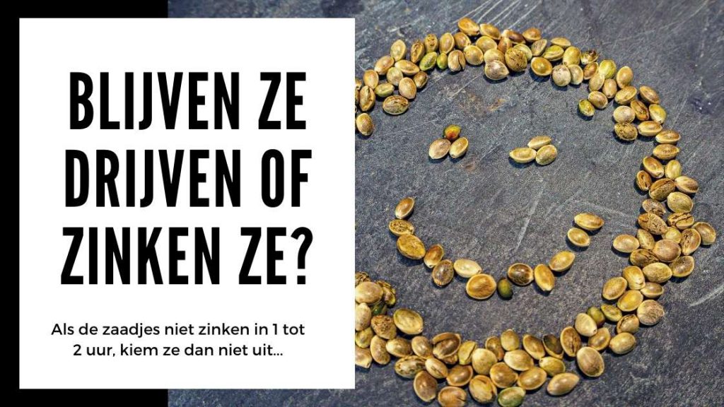 ✅ Hennep Zaden Test - Blijven ze drijven of zinken ze - Smartific