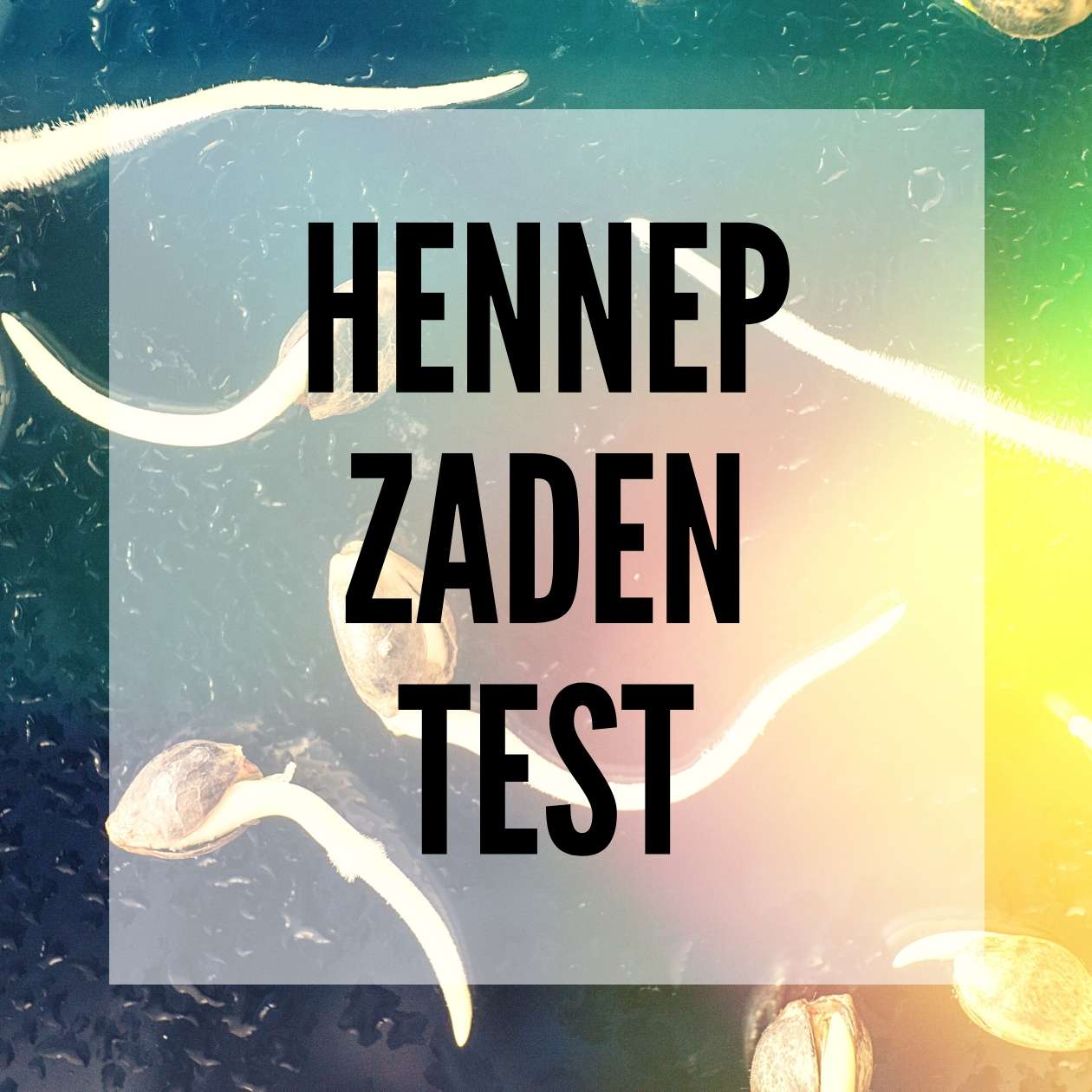 ✅ Hennep Zaden Test - Blog Post - Smartific
