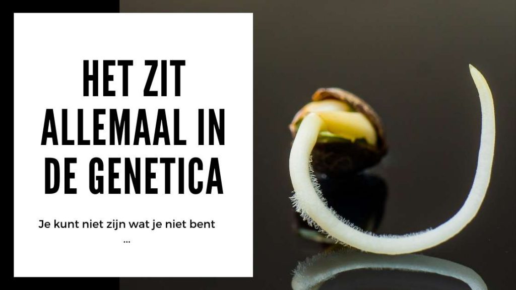✅ Hennep Zaden Test - Het zit allemaal in de genetica - Smartific