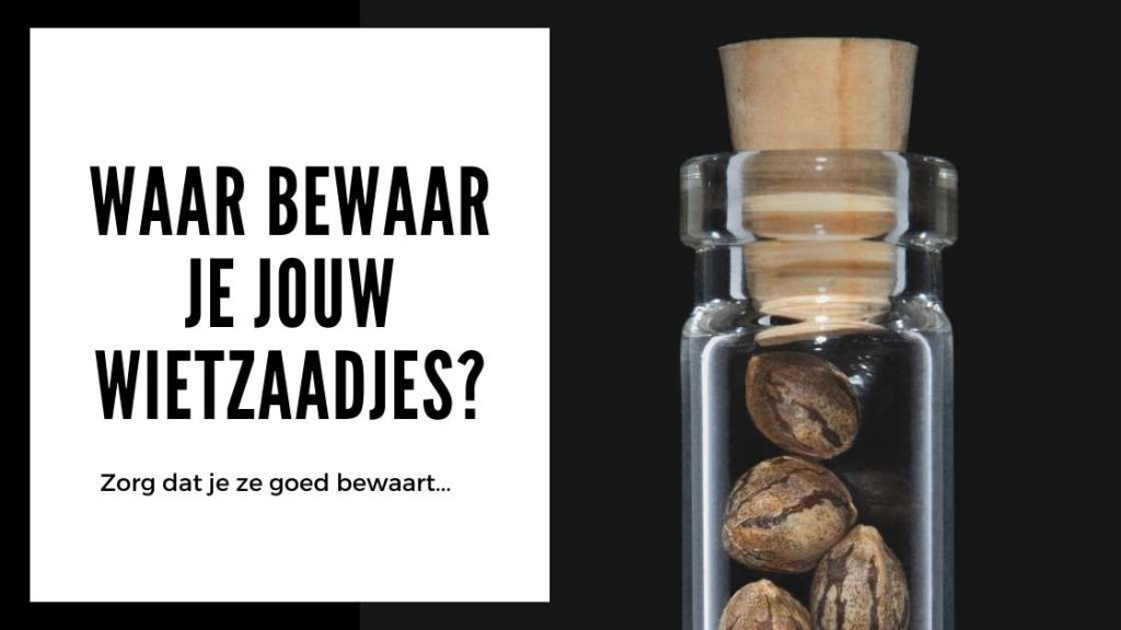 ✅ Hennep Zaden Test - Waar bewaar je jouw wietzaadjes -Smartific