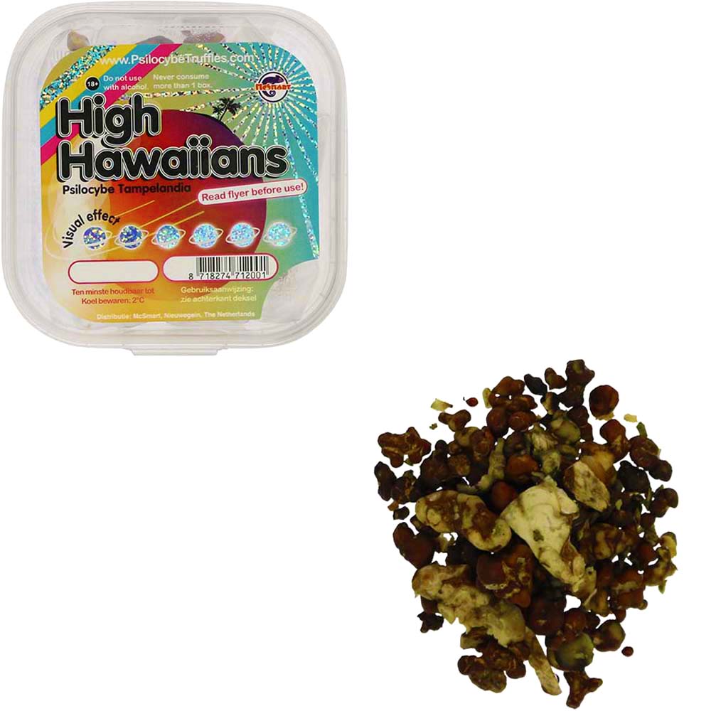 High Hawaiians Psilocybe Tampelandia Magic Truffles High Hawaiians Psilocybe Tampelandia Magic Truffles