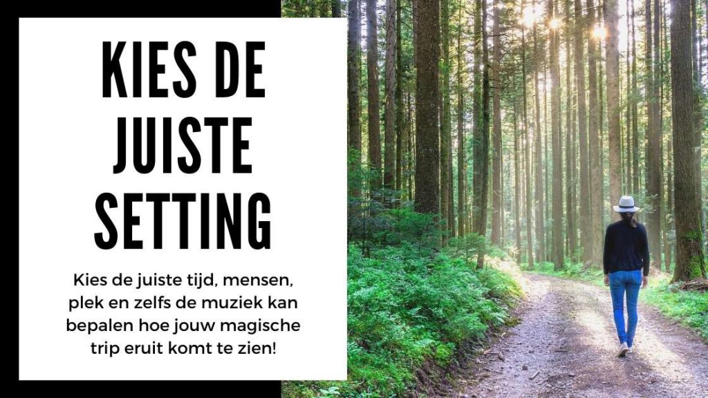 ✅ Trip advies voor beginners - Kies de juiste setting- Voorbereiden op je eerste Paddo of Magic Truffel trip - Smaritifc